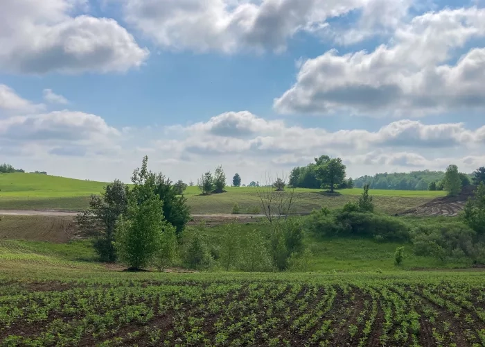 View of the rehabilitated land at the form site of The Miller Group's Boyington Gravel Pit.