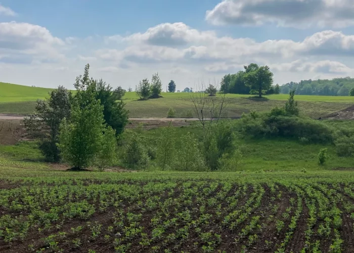 View of the rehabilitated land at the form site of The Miller Group's Boyington Gravel Pit.