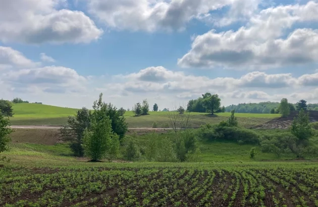 View of the rehabilitated land at the form site of The Miller Group's Boyington Gravel Pit.