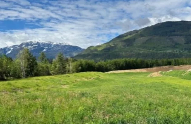 View of the revegetated Westside Gravel Pit in British Columbia, restored by Colas company Terus.  