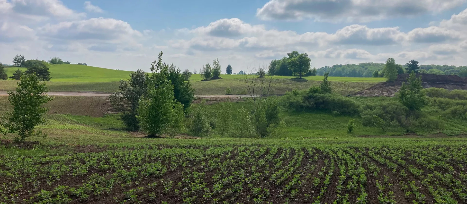 View of the rehabilitated land at the form site of The Miller Group's Boyington Gravel Pit.